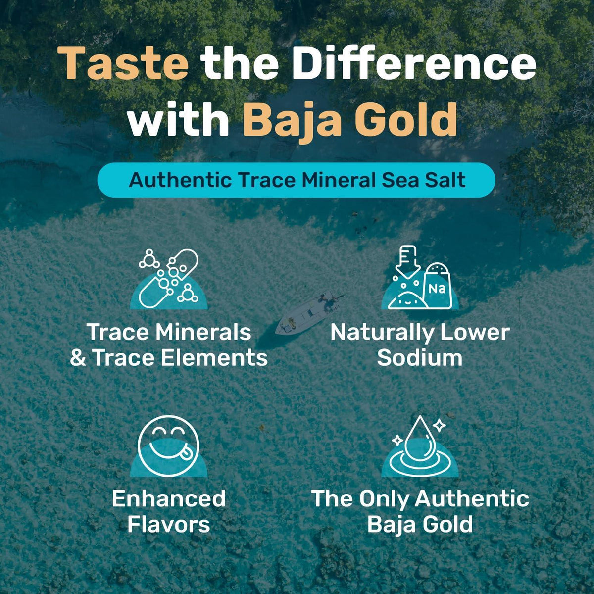Baja Gold Mineral Sea Salt - Recommended by Gary Brecka - Authentic Fine Grind Salt for Cooking & Baking | Natural Baja Salt for Culinary Uses | Great for Finishing Dishes | 1 lb. Resealable Bag, 300+ Servings