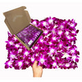 Miami Fresh Orchid Loose Bloom PERISHABLE flowers OrchidClub USA Sunne Tropical DIY lei, food & drink decoration (100 PURPLE)
