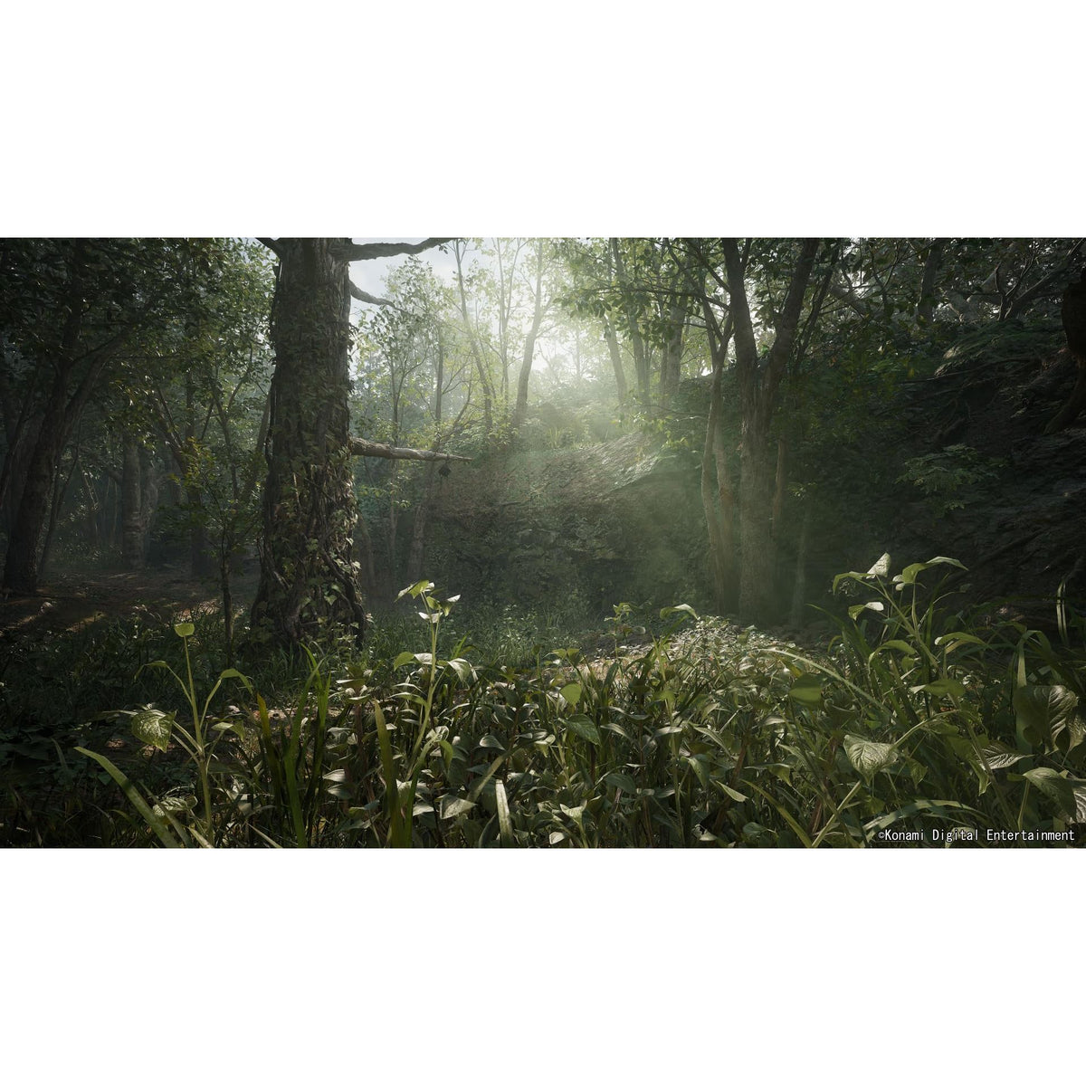 METAL GEAR SOLID Δ: SNAKE EATER TACTICAL ED – PS5