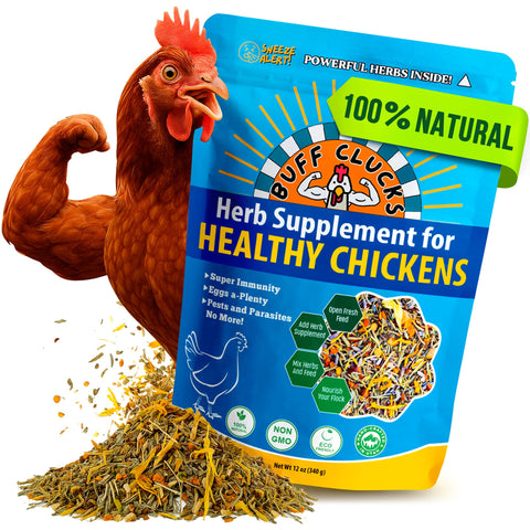 Buff Clucks Herb Supplement for Backyard Chickens - Natural Chicken Treats, Poultry Feed Botanical Mix, Plant-Based Coop Snacks for Daily Wellness, Feather Quality, Egg Production, USA (12 oz)
