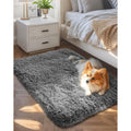 Ophanie Small Rug Upgrade Non Slip Throw Bedside Area Rugs, Fluffy Soft Grey Mini Bedroom Carpet, Affordable Door Entryway Indoor Inside Front Entrance Dog 2x3 Mat, Home Decor Aesthetic, Nursery