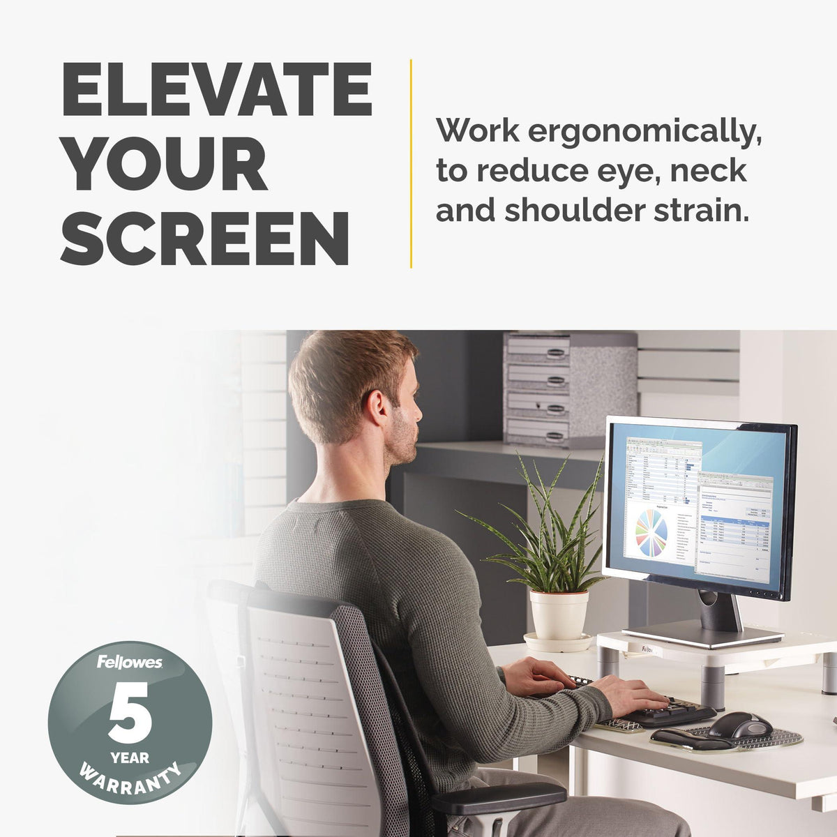 Fellowes Standard Monitor Riser (91712), Platinum/Graphite