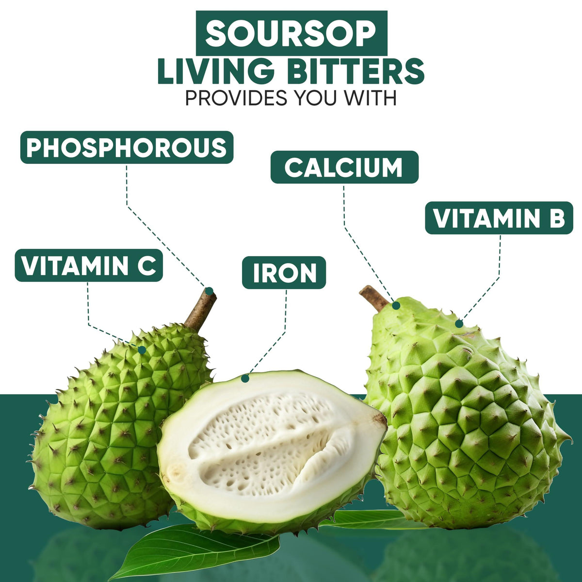 Herboganic Soursop Bitters Liquid | Natural Living Bitters for overall wellness 16 OZ | Soursop Bitters
