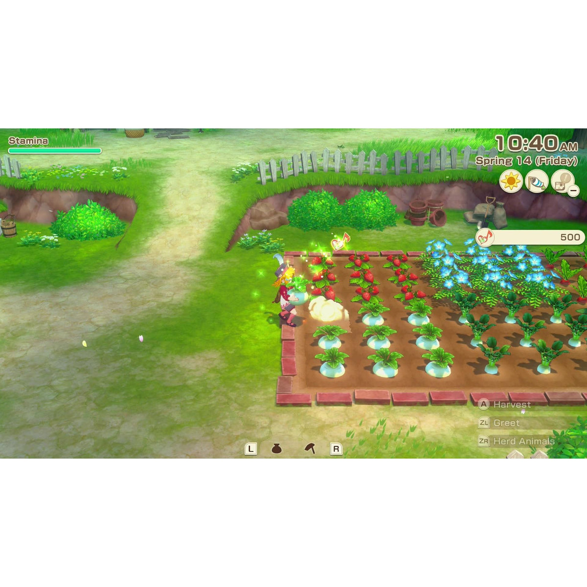 Story of Seasons Grand Bazaar Premium Edition Nintendo Switch
