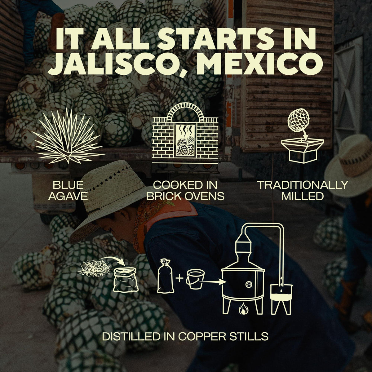 Almave Blanco Non-Alcoholic Blue Agave Spirit – The First Premium Tequila Alternative Made with Blue Agave – Handcrafted in Jalisco, Mexico