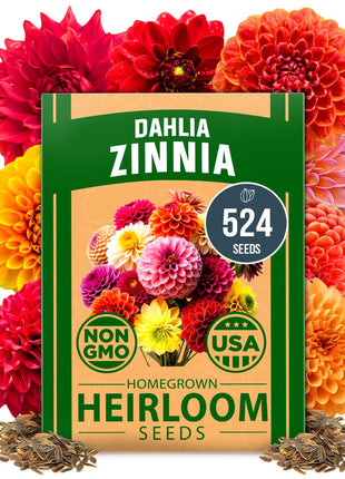 HOME GROWN 𝗨𝗦𝗔 𝗣𝗥𝗘𝗠𝗜𝗨𝗠 Zinnia Dahlia Seeds Pack for 2026 – 524 𝗡𝗢𝗡-𝗚𝗠𝗢 Flower Seeds | Vibrant Zinnia Elegans for Pollinator Gardens, Borders & Containers | Easy-to-Grow Outdoor Blooms