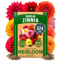 HOME GROWN 𝗨𝗦𝗔 𝗣𝗥𝗘𝗠𝗜𝗨𝗠 Zinnia Dahlia Seeds Pack for 2026 – 524 𝗡𝗢𝗡-𝗚𝗠𝗢 Flower Seeds | Vibrant Zinnia Elegans for Pollinator Gardens, Borders & Containers | Easy-to-Grow Outdoor Blooms