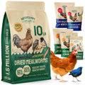 Hatortempt Bulk Dried Mealworms - 10 Lb Bag - Non-GMO Dried Mealworms for Chickens, Ducks & Wild Birds - High-Protein Chicken Feed & Bird Food