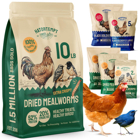 Hatortempt Bulk Dried Mealworms - 10 Lb Bag - Non-GMO Dried Mealworms for Chickens, Ducks & Wild Birds - High-Protein Chicken Feed & Bird Food