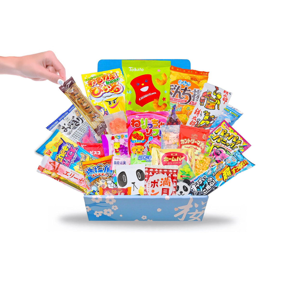 Japanese Snacks & Candy Dagashi with English Pamphlet 30 Pieces Custom Gift Set (Box)