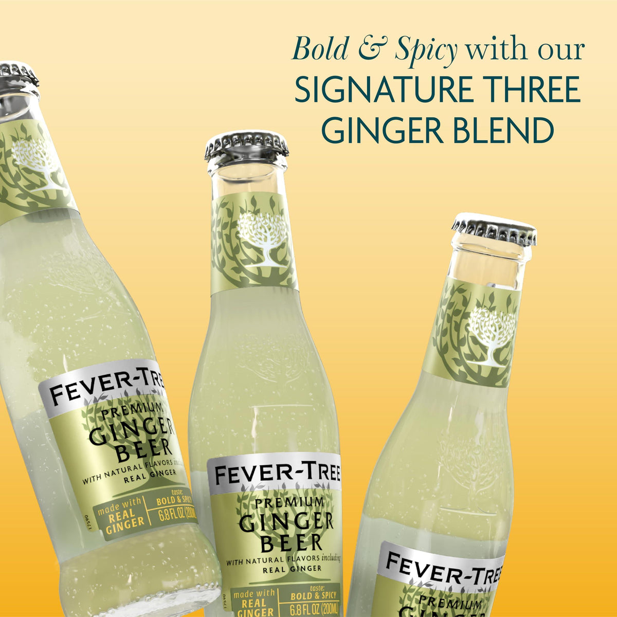 Fever-Tree Premium Ginger Beer, No Artificial Sweeteners, Flavorings or Preservatives, 6.8 Fl Oz Each (24 Bottles)