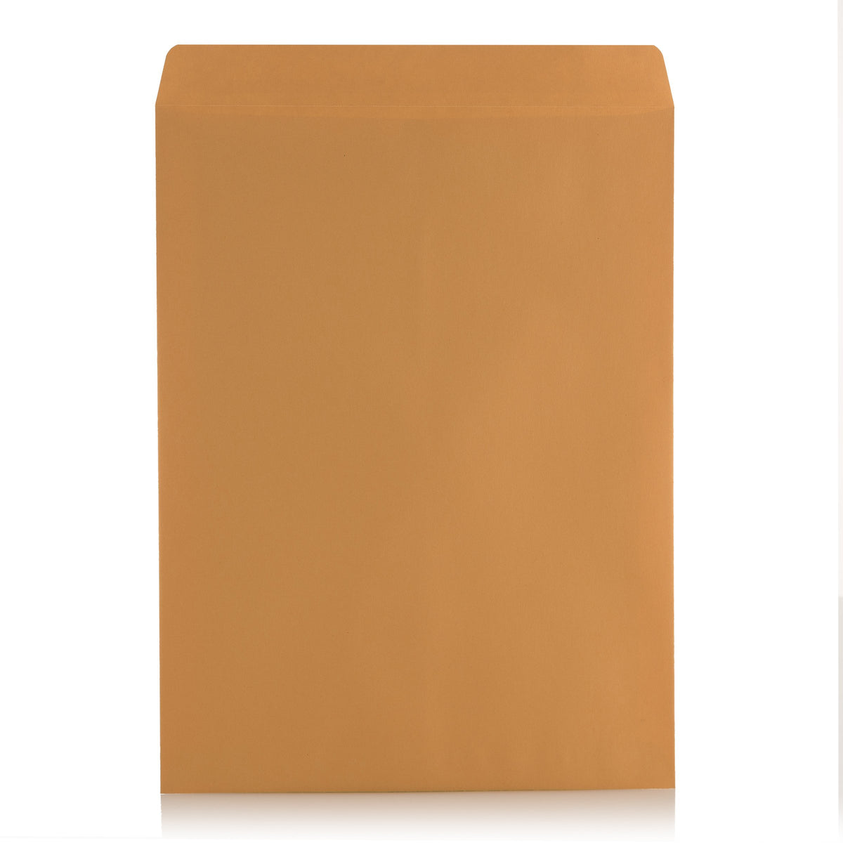 Aimoh 9 X 12 Self-Seal Brown Kraft Catalog Mailing Envelopes - 28lb - 100 Count, 9x12 Inch (38300)