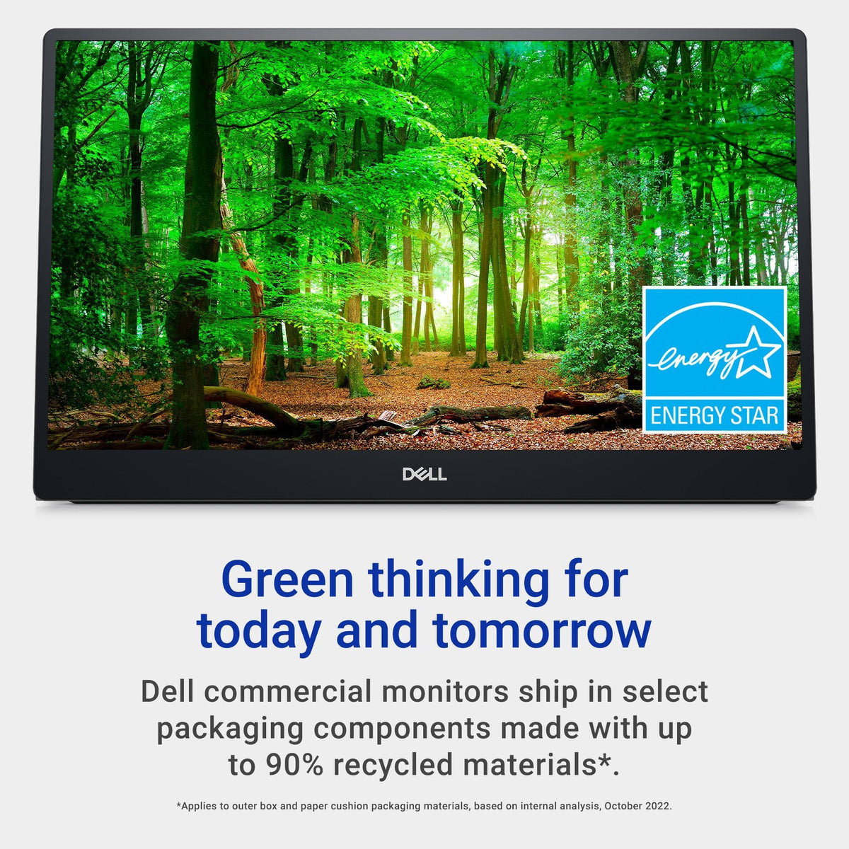 Dell 14 Portable Monitor - P1424H - 14-inch Full HD (1080p) 1920 x 1080, IPS Panel, USB-C connectivity, Comfortview, 3-Year Advanced Exchange Service - Silver