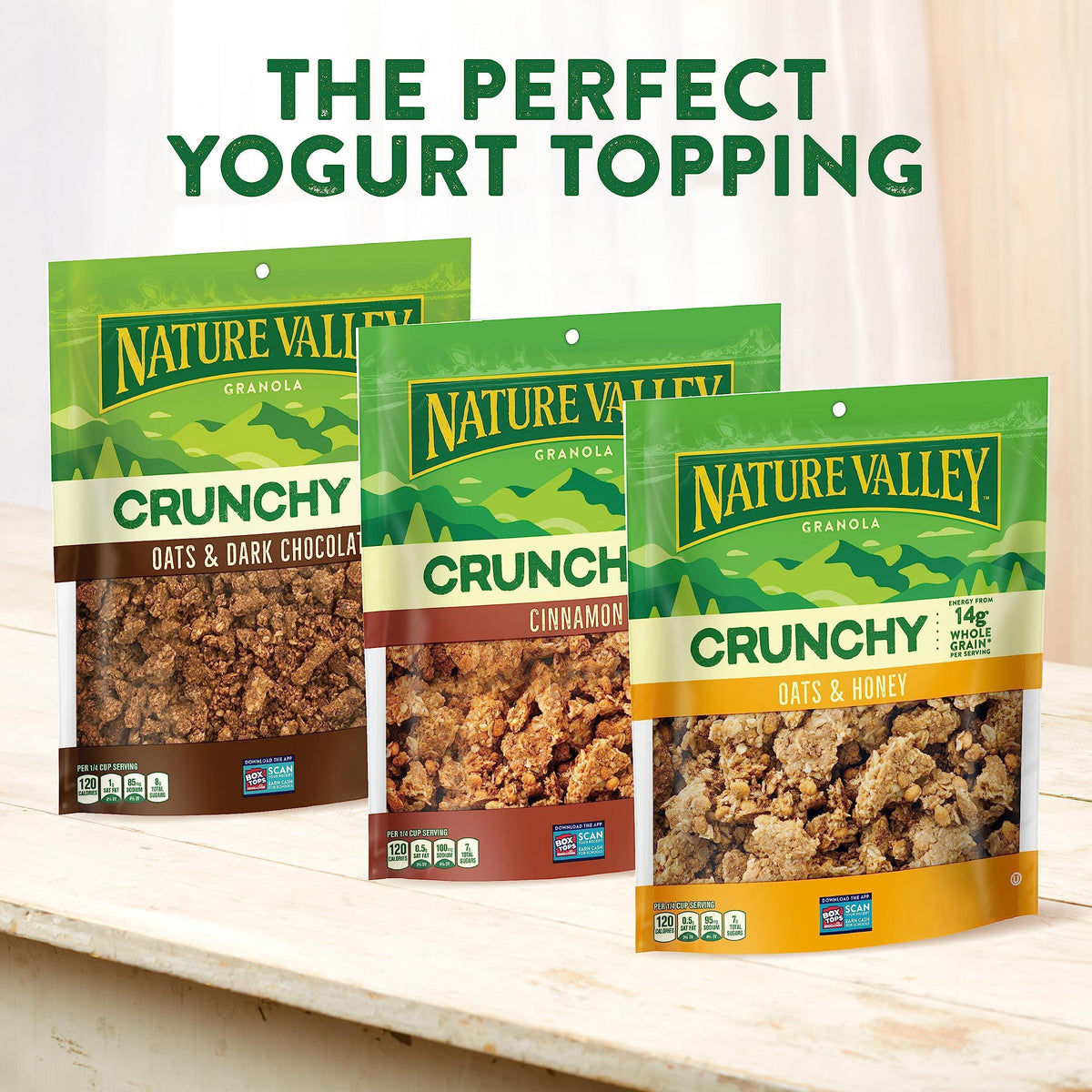 Nature Valley Protein Granola, Oats and Honey Granola, Resealable Snack Pouch, Family Size, 17 oz