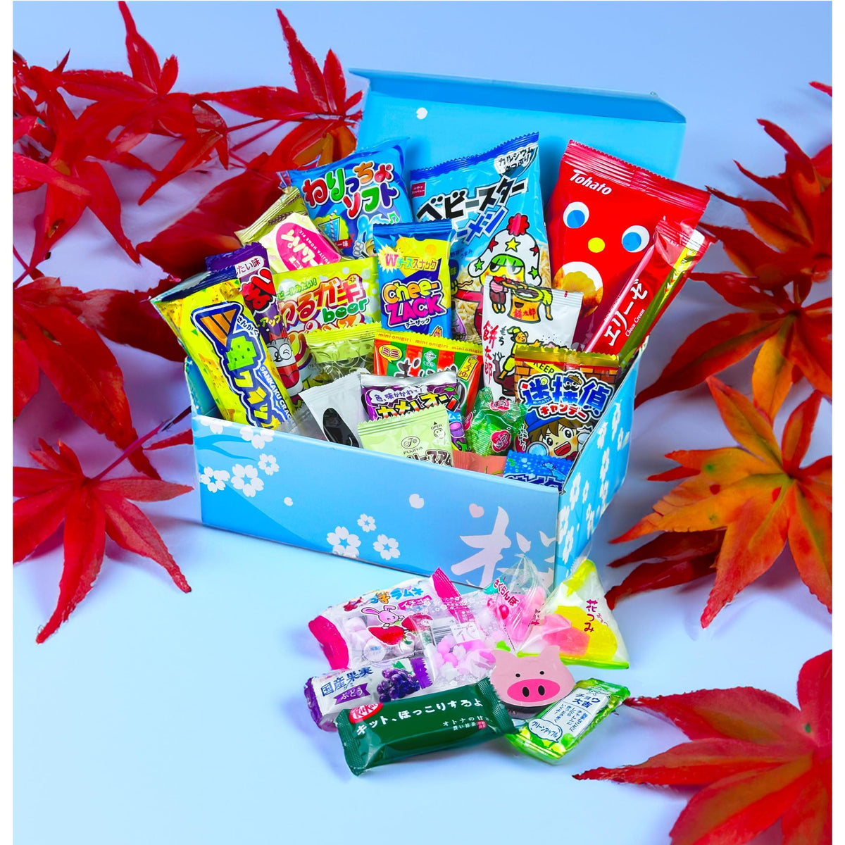 Japanese Snacks & Candy Dagashi with English Pamphlet 30 Pieces Custom Gift Set (Box)