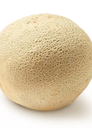 Cantaloupe Melon, 1 Each