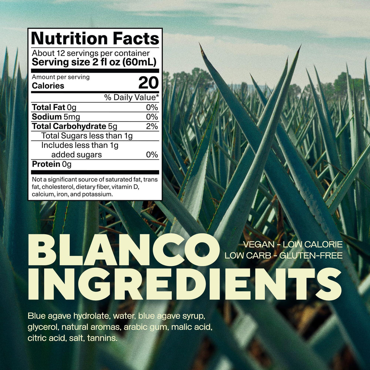 Almave Blanco Non-Alcoholic Blue Agave Spirit – The First Premium Tequila Alternative Made with Blue Agave – Handcrafted in Jalisco, Mexico