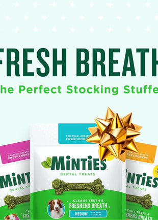 Minties Dental Chews for Dogs, 40 Count, Vet-Recommended Mint-Flavored Treats for Tiny/Small Dogs 5-24 lbs, Dental Bones Clean Teeth, Fight Bad Breath, and Removes Plaque and Tartar