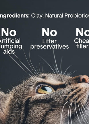 Boxie Probiotic Cat Litter, 40 Day Odor Control, Clumping Clay Kitty Litter, Odor Eliminating Probiotics, Dust-Free, No Fragrances No Fillers, 16 lb