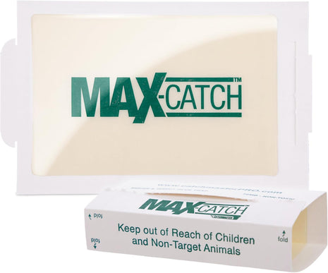 Catchmaster Max Catch Mouse & Insect Glue Trap 36pk, Mouse Traps Indoor for Home, Sticky Pest Control Adhesive Tray for Catching Bugs, Rats & Rodents, Bulk Classic Glue Boards