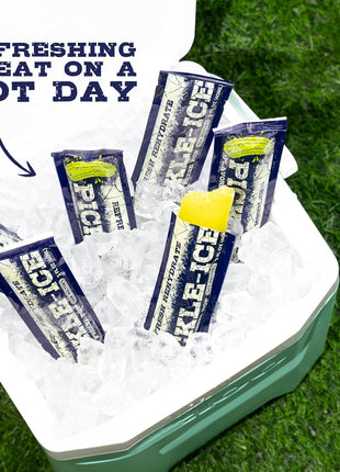 Van Holten's Pickles - Pickle-Ice Freeze Pops - 24 Pack