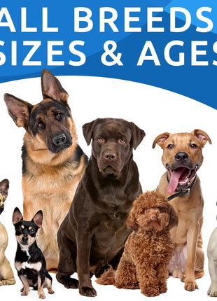 Allergy Relief + Probiotics & Digestive Enzymes for Dogs - Anti-Itch Skin & Coat Supplement - Omega 3 Fish Oil - Gut Health - Pet Diarrhea Gas Treatment, Upset Stomach Relief Pills, Digestion Health