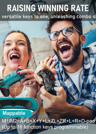 Diswoe Switch Controllers, 2 Pack Wireless Pro Controller for Switch 2/Lite/OLED with Mappable Buttons, Hall Effect Gaming Controller for PC/Android with Motion Control/Vibration/Turbo/Wake Up