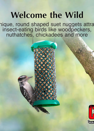 C&S Wild Bird Woodpecker Suet Nuggets Mega Box, 8 Pounds