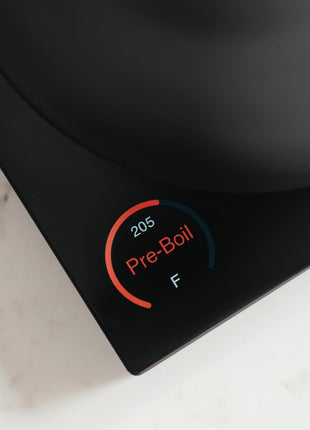 Fellow Corvo EKG Pro Gooseneck Electric Kettle for Pour Over Coffee & Tea | Precise Temp Control, Quick Heating, Stainless Steel, Brew Timer, Scheduling, LCD Display, Hold Mode, 0.9 Liter, Matte Black