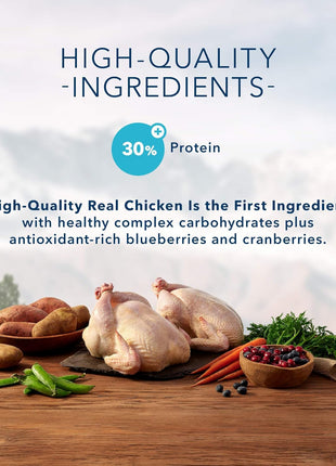 Blue Buffalo Wilderness High Protein, Natural Kitten Dry Cat Food, Chicken 2-lb (Pack of 2)