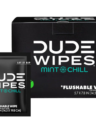 DUDE Wipes - On-The-Go Flushable Wipes - 1 Pack, 30 Wipes - Mint Chill Extra-Large Individually Wrapped Adult Wet Wipes - Eucalyptus & Tea Tree Oil - Septic and Sewer Safe
