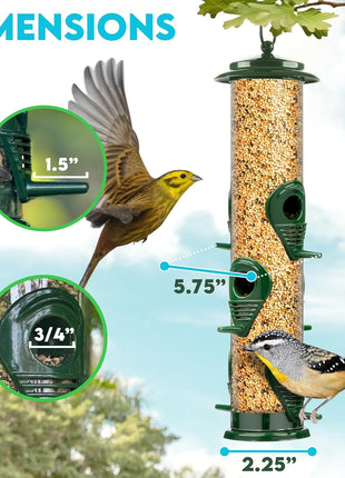 Bird Feeders for Outdoors (Green) Squirrel Proof Hanging Bird Feeder with Locking Lid & Adjustable Hanger, Chew-Proof, Weather Resistant 15 Inches 6 Port