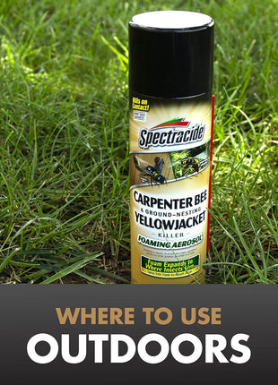 Spectracide Carpenter Bee And Ground-Nesting Yellowjacket Killer Foaming Aerosol 16 Ounces, Expands To Where Insects Live