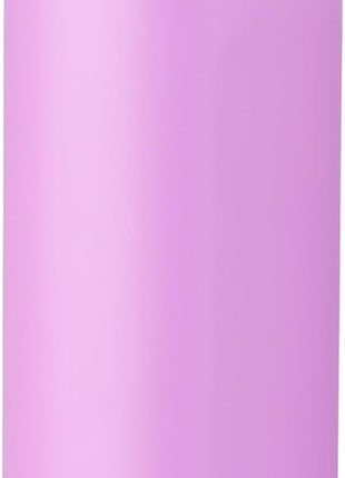 Owala Princess FreeSip Stainless Steel Water Bottle 24 oz Rapunzel