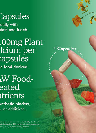 Garden of Life Raw Calcium Supplement for Women and Men - Vitamin Code Made from Whole Foods with Magnesium, K2, Vitamin D3 and Vitamin C plus Probiotics for Digestion, 120 Capsules