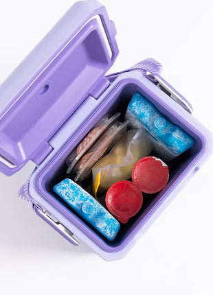 Igloo Maxcold Ice Block