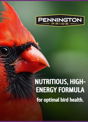 Pennington Pride Songbird Nut & Fruit Blend, Wild Bird Seed for Outside Feeders, Advanced Nutrition Formula for Health, Bird Food, 10-lb. Bag