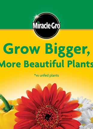 Miracle-Gro Water Soluble All Purpose Plant Food - Fertilizer For All Indoor or Outdoor Plants including Roses, Flowers, Vegetables, Houseplants, Trees, and Shrubs, 3 lbs.