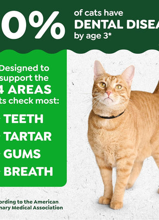 Greenies Cat Treats, Feline Veterinarian-Recommended Adult Natural Dental Treats, Catnip Flavor, 9.75 oz. Tub