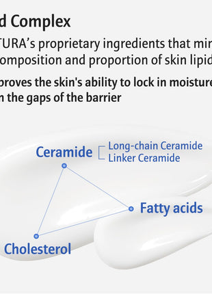 AESTURA ATOBARRIER365 Ceramide Cream + Lightweight Lotion