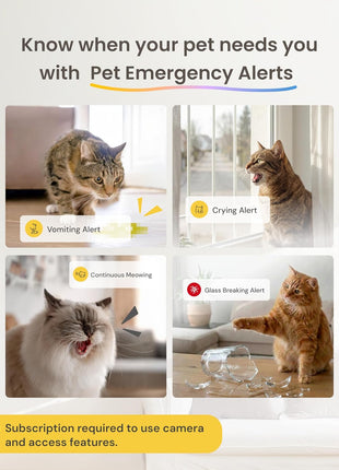 Furbo 360° Cat Camera + Mini [New Subscription Required at Setup] 2-Camera Bundle Nanny Subscription: Cat Safety & Home Security Alerts, Pet Camera with Speaker, Phone App & Night Vision