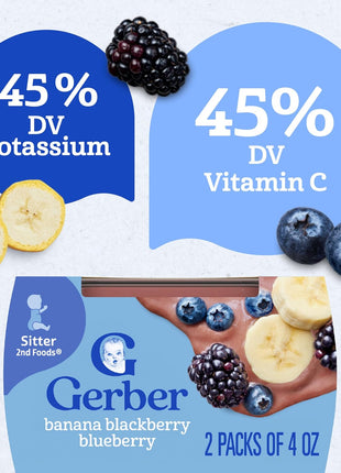 Gerber Stage 2 Baby Food, Banana Blackberry Blueberry Puree Tubs, No Artificial Colors or Flavors, Baby Puree, 16-Pack