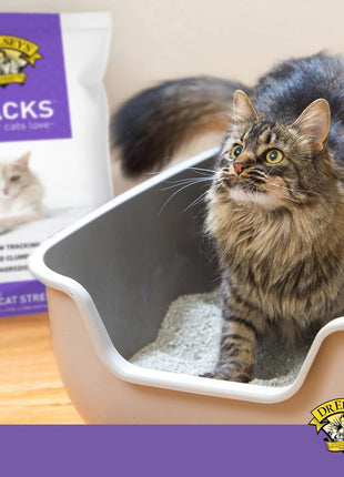 Dr. Elsey's® Clean Tracks Clumping Clay Cat Litter 40 lb. Bag
