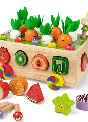 Coogam Montessori Fine Motor Toys for Baby Toddler, Wooden Shape Sorter Carrot Harvest Game for Easter Basket Stuffer, Preschool Learning Educational Gift Toy for 3 4 5 Year Old