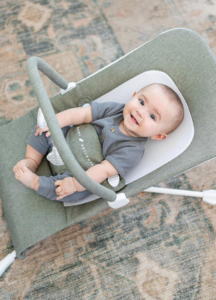 Baby Delight Highland Baby Bouncer, Sage Tweed | For Infants 0 – 6 Months, 3-Position Recline, Adjustable 3-Point Harness, Secure Locking Mechanism, Folds Flat