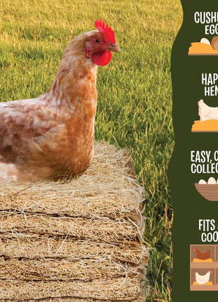 MagJo Aspen Nesting Pads for Chicken Coops - USA Grown Aspen Excelsior Nest Box Liners 13x13-12 Pack
