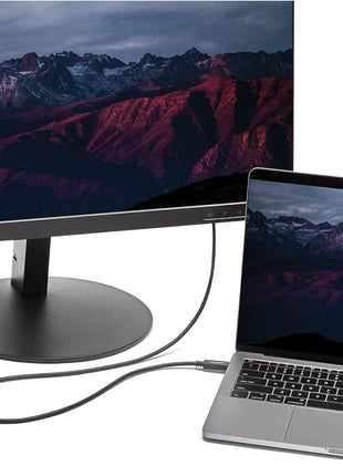 StarTech.com 6ft/2m USB C to VGA Cable - 1920x1200/1080p USB Type C to VGA Video Active Adapter Cable - Thunderbolt 3 Compatible - Laptop to VGA Monitor/Projector - DP Alt Mode HBR2 (CDP2VGAMM2MB)