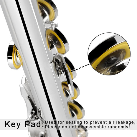EastRock Closed Hole Flutes C 16 Key for Beginner, Kids, Student Silver Nickel Flute with Case Stand and Cleaning kit