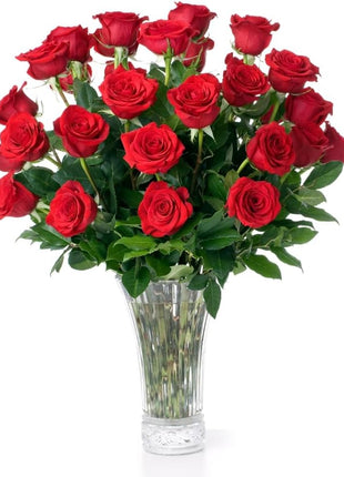 Aquarossa Farms – Flowers for Delivery, Fresh Flowers Bouquet, Handpicked from the Farm, Gift for Birthday, Anniversary, or Just Because – 24 Fresh Roses