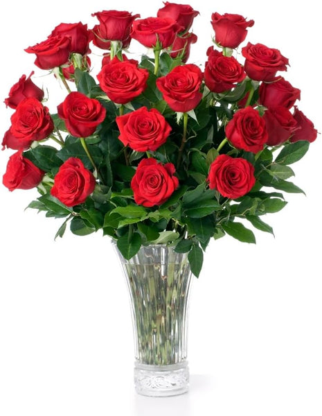 Aquarossa Farms – Flowers for Delivery, Fresh Flowers Bouquet, Handpicked from the Farm, Gift for Birthday, Anniversary, or Just Because – 24 Fresh Roses